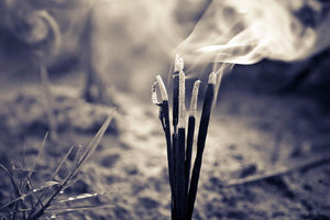 20 Varitas Largas de Incienso Mexicano Palo Santo